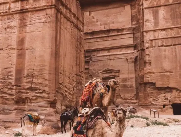 Che vaccini servono per andare in Giordania