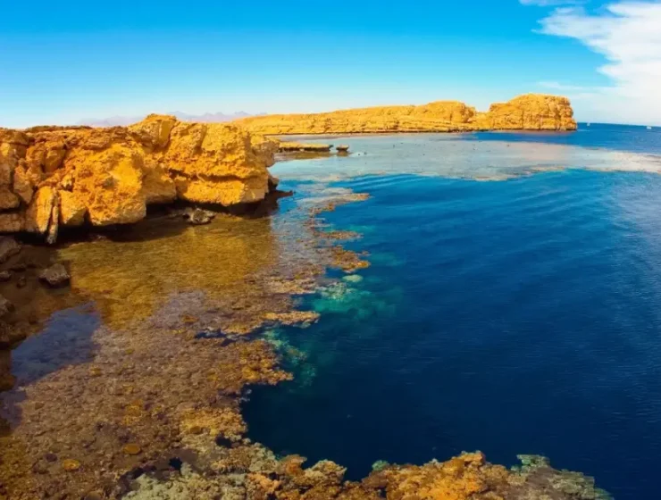 Ras Mohammed Snorkeling Sharm El Sheikh
