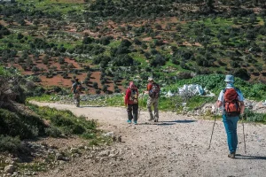 Escursione al Castello di Ajloun: Trekking nelle Antiche Highlands della Giordania