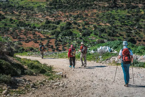 Escursione al Castello di Ajloun